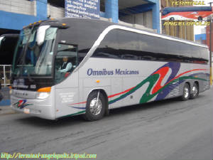 omnibuses_mex.jpg